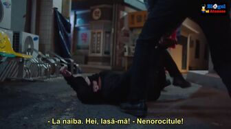 reteta dragostei 20